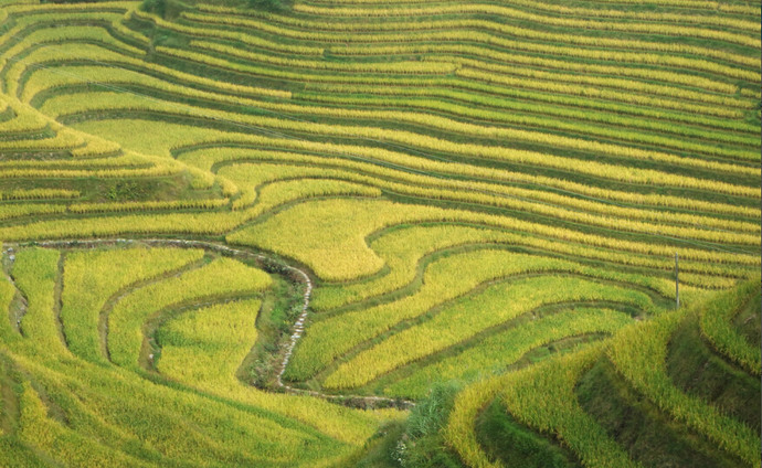 You may not know that Longji terraced fields are open to play! - kikbb